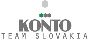 Auditkonto